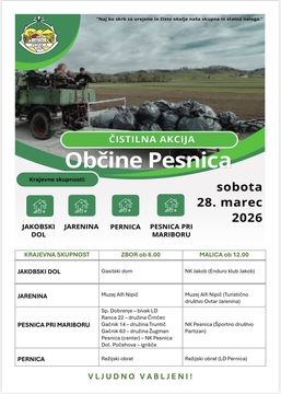 651002765_1532535462214359_8362173308526929969_n