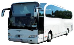 bus-1449252