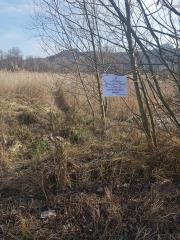 90230917_1339761109547684_5085071378147704832_n