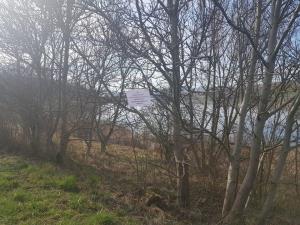 89903538_1339761216214340_8888842566087213056_n