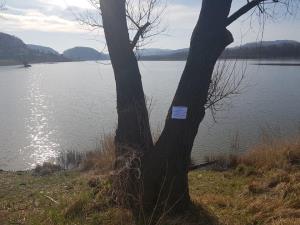 89907235_1339761226214339_6436170855704690688_n