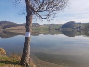 89832048_1339761389547656_6854955597566050304_n