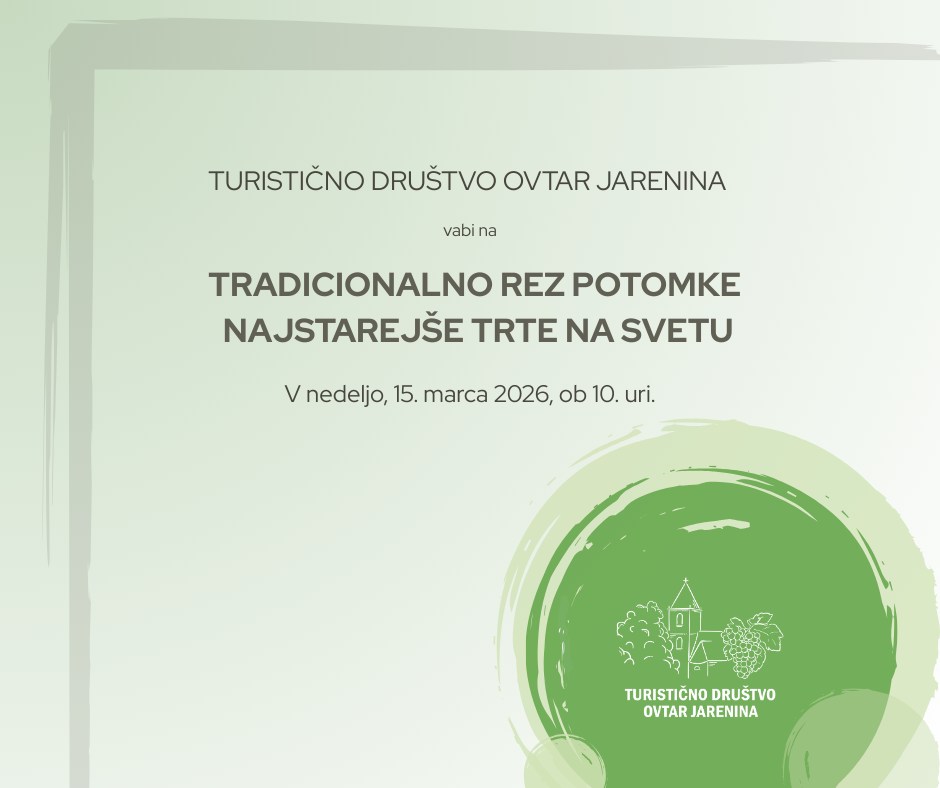 645419072_1255117480134394_3356499525132285357_n